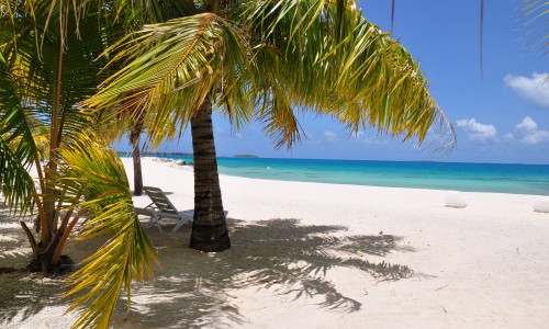 Pension Tikehau Paradise